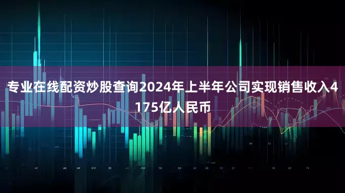 专业在线配资炒股查询2024年上半年公司实现销售收入4175亿人民币