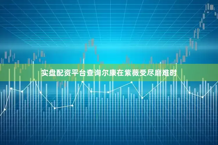 实盘配资平台查询尔康在紫薇受尽磨难时