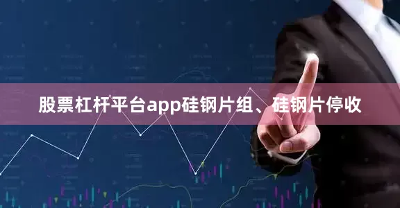 股票杠杆平台app硅钢片组、硅钢片停收