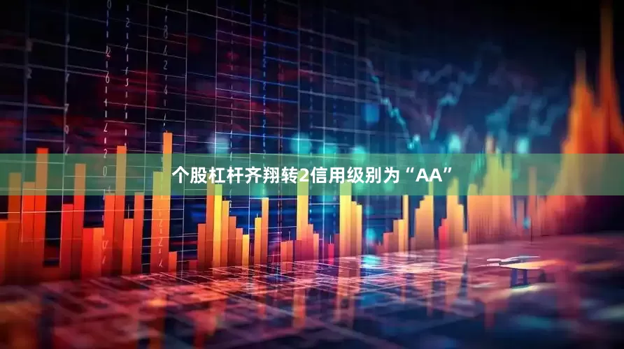 个股杠杆齐翔转2信用级别为“AA”