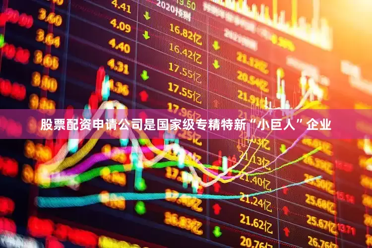 股票配资申请公司是国家级专精特新“小巨人”企业