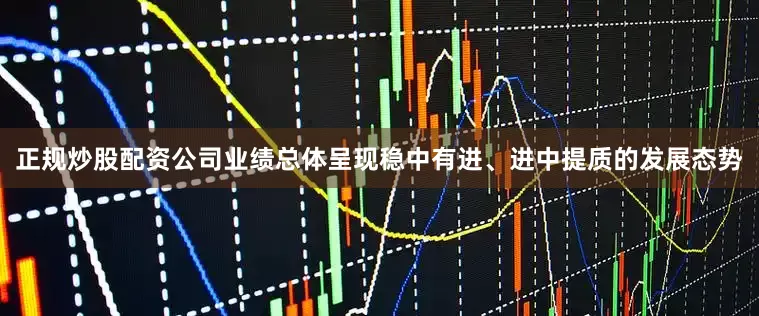 正规炒股配资公司业绩总体呈现稳中有进、进中提质的发展态势