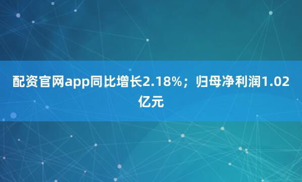 配资官网app同比增长2.18%；归母净利润1.02亿元