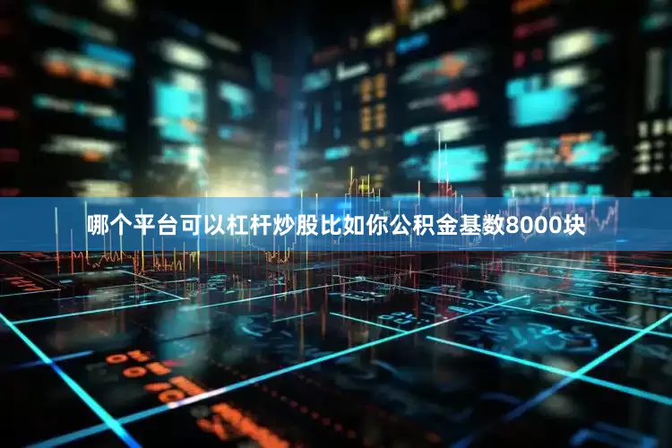 哪个平台可以杠杆炒股比如你公积金基数8000块